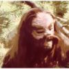 Bigfoot Dan-header image